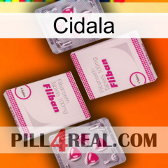 Cidala 33